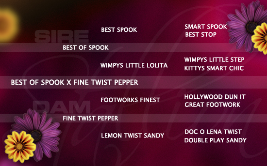 ped-nachzucht_best-of-spook-x-fine-twist-pepper ped-nachzucht_best-of-spook-x-fine-twist-pepper