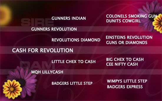2020-04_sa_pedigree_cash-for-revolution 2020-04_sa_pedigree_cash-for-revolution